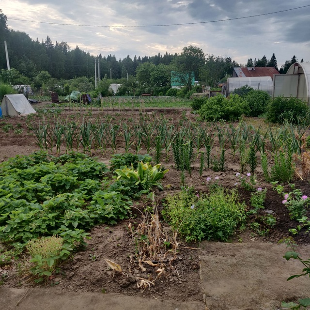 Март с аномальной жарой круто меняет сроки садово-огородных работ: стали известны новые даты